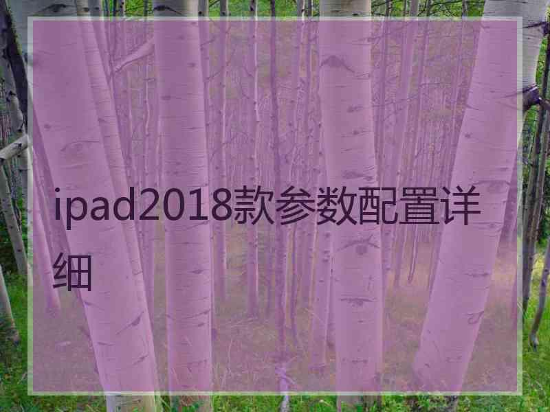 ipad2018款参数配置详细