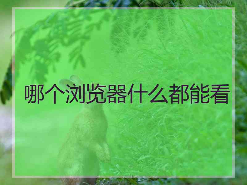 哪个浏览器什么都能看