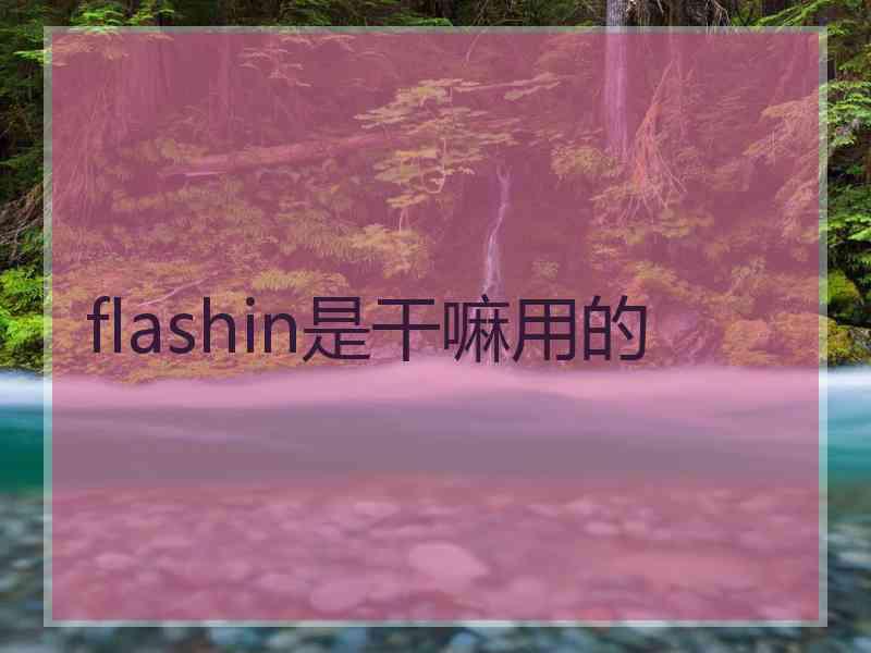 flashin是干嘛用的