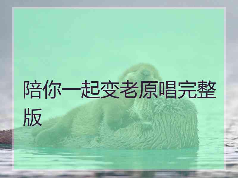 陪你一起变老原唱完整版