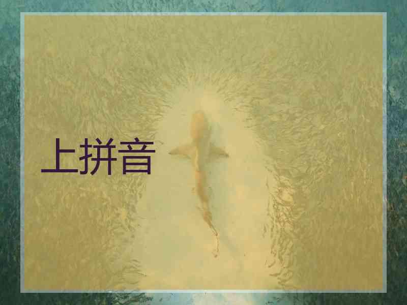 上拼音