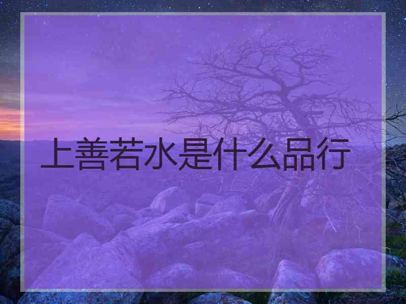 上善若水是什么品行