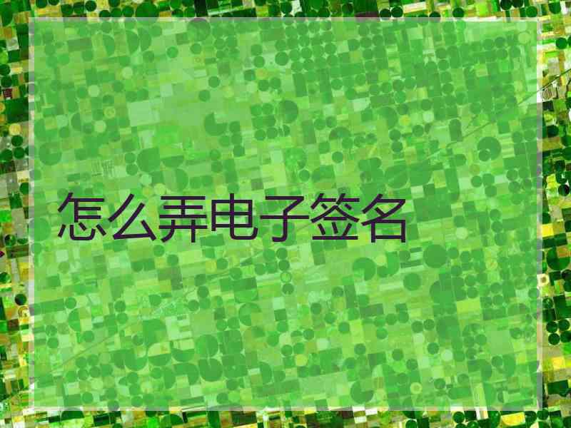 怎么弄电子签名