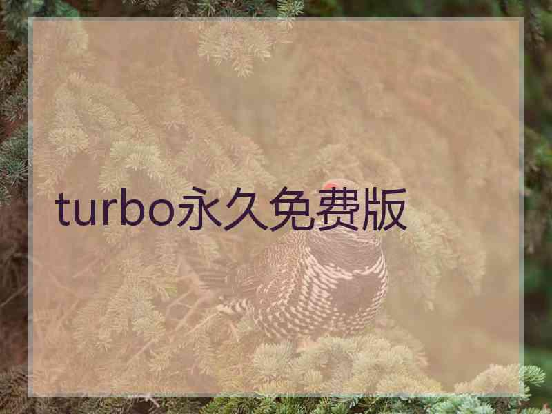 turbo永久免费版