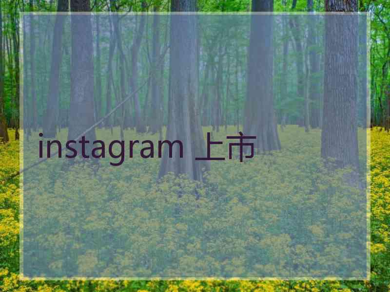 instagram 上市