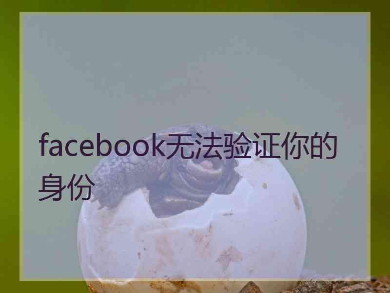 facebook无法验证你的身份