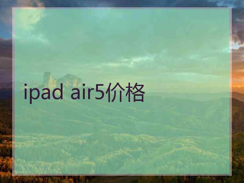 ipad air5价格