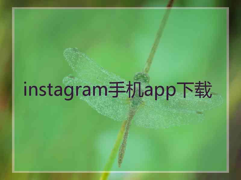 instagram手机app下载