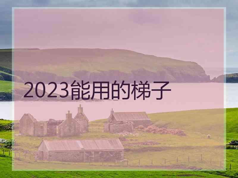 2023能用的梯子