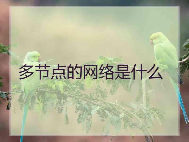 多节点的网络是什么