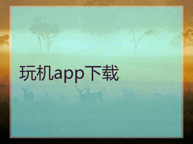 玩机app下载