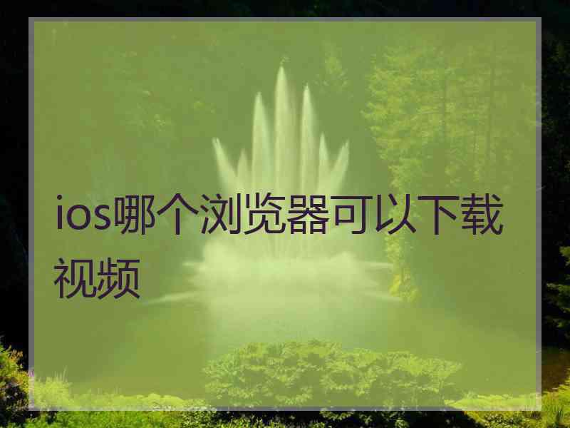 ios哪个浏览器可以下载视频